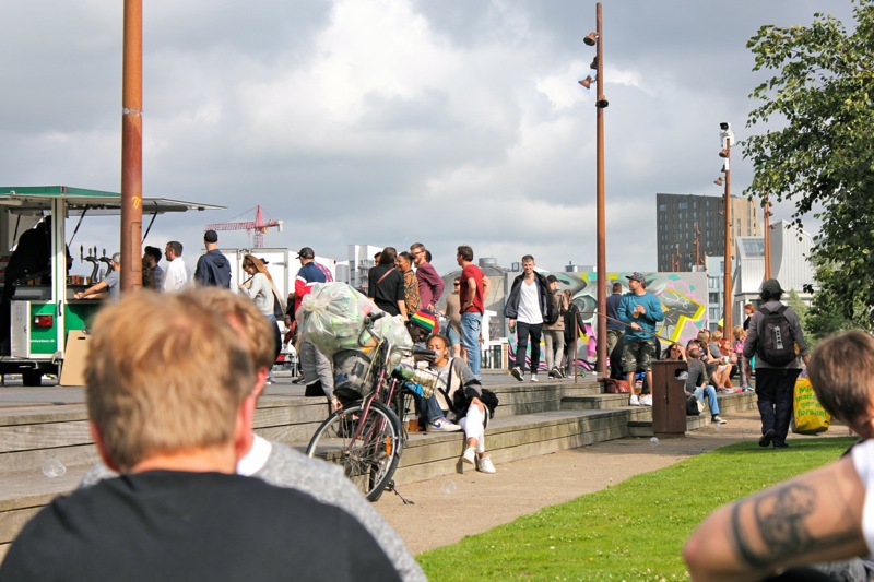 Chill_i_parken_aalborg_havnefront